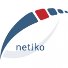 website, e-commerce, design, SEO, mobile application, hosting, social network, branding